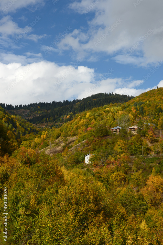 Autumn nature landscapes. ( wooden village houses ) Sinop, Turkey.