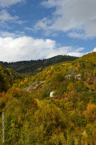 Autumn nature landscapes. ( wooden village houses ) Sinop, Turkey. © osman