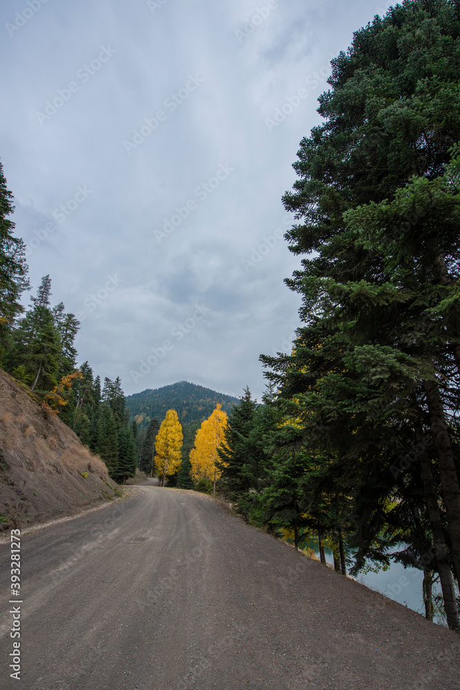 Fototapeta premium autumn nature landscapes. Sinop, Turkey.