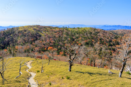 秋の日出ヶ岳から見た正木峠　大台ヶ原　奈良県　Masaki Pass seen from Mt.Hidegadake .Oodaigahara Mt.Hidegadake Nara-ken photo