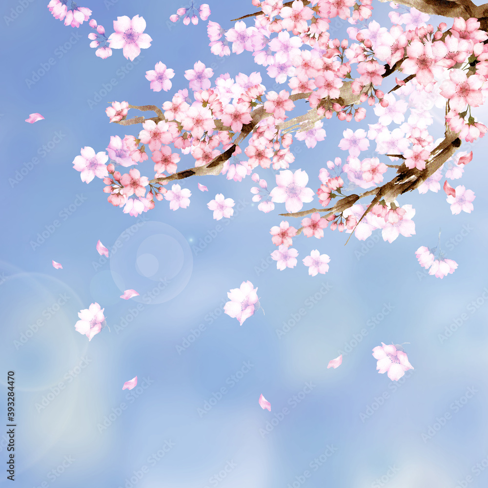 水彩の桜の花 青空背景