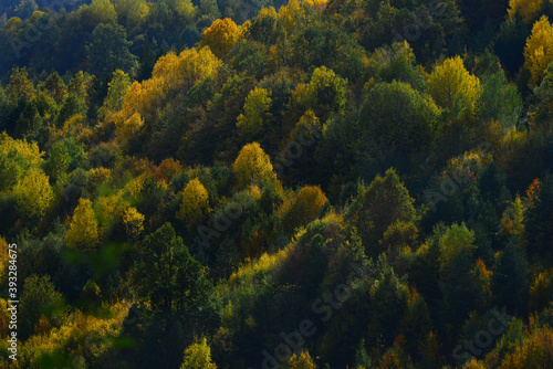 autumn nature landscapes. Sinop, Turkey. © osman
