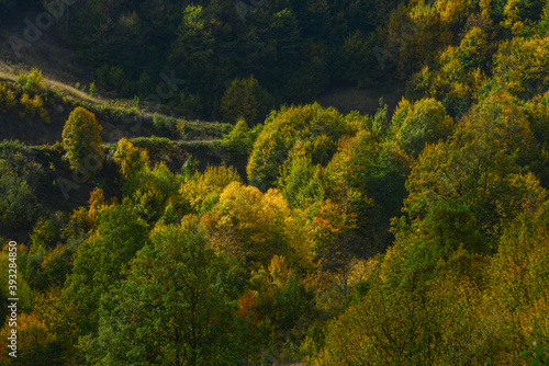 autumn nature landscapes. Sinop, Turkey.