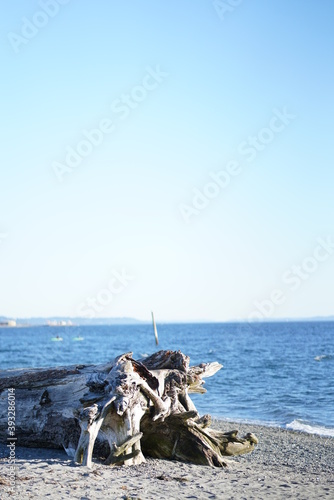 sea, water, beach, ocean, coast, sky, landscape, boat, blue, nature, rocks, travel, summer, island, vacation, sand, fishing, driftwood, coastline, yacht, shore, sunset, ship, rock, bay