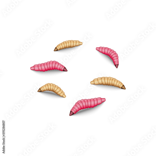 Billede på lærred Fly maggot lure set isolated on white background, 3d insects realistic vector il