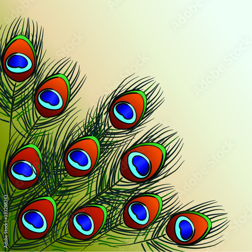 illustration with bright peacock feathers
