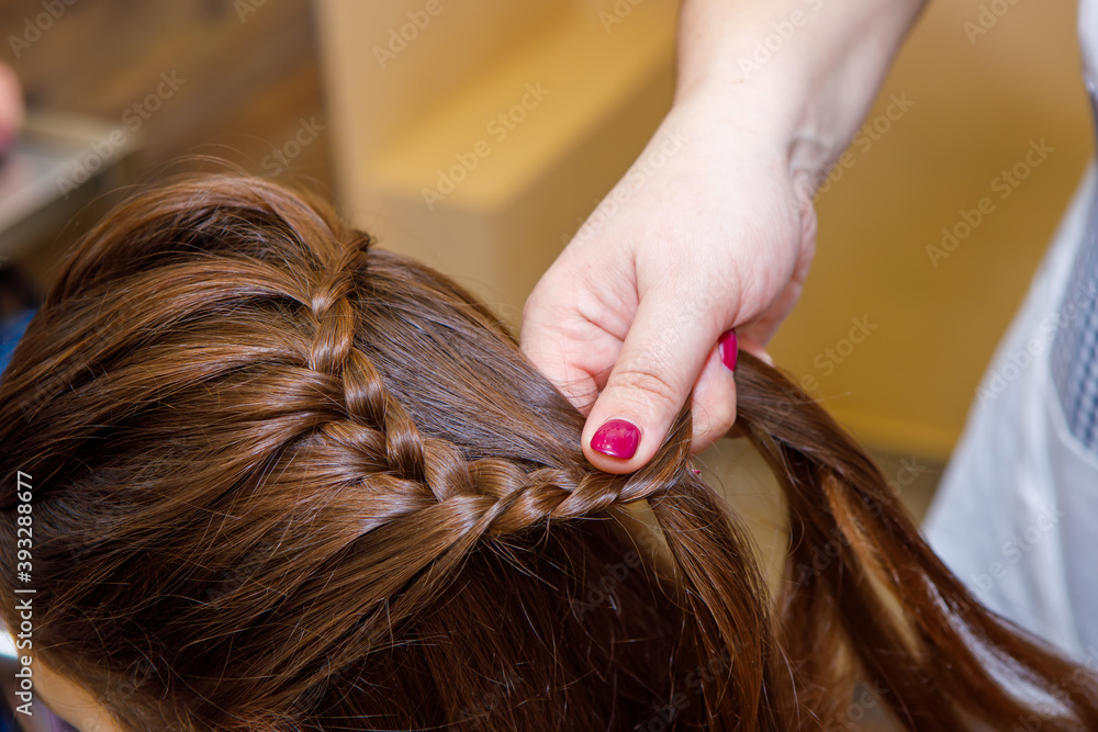Naklejka premium Professional braiding of braids by a master hairdresser in a beauty salon. The concept of hair care.