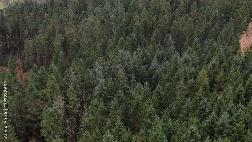Birdseye Aerial View of Green Coniferous Forest on Cloudy Autumn Day, Rogaland, Norway Birdseye Aerial View of Green Coniferous Forest on Cloudy Autumn Day, Rogaland, Norway