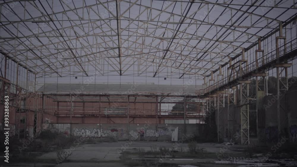 Abandoned warehouse - walking backwards inside with wild vegetation and murals Abandoned warehouse - walking backwards inside with wild vegetation and murals