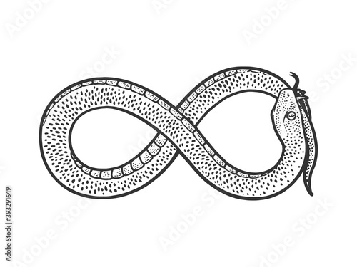 snake infinity sign sketch raster illustration