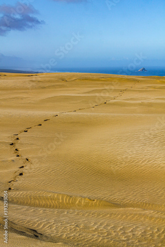 footsteps on the dessert