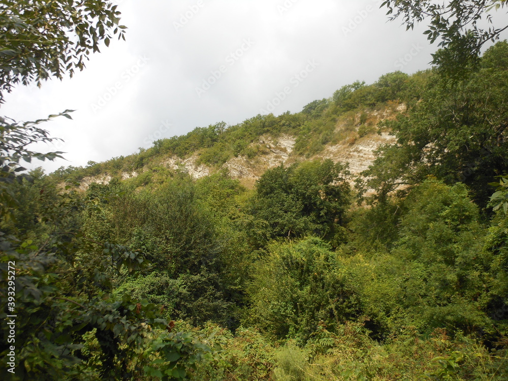 A stone slope overgrown with herbs.
Krasnodar region. Mountain range. Mountain slope made of stone. Grasses and bushes grow on the slope. Nearby are low trees. Green foliage.