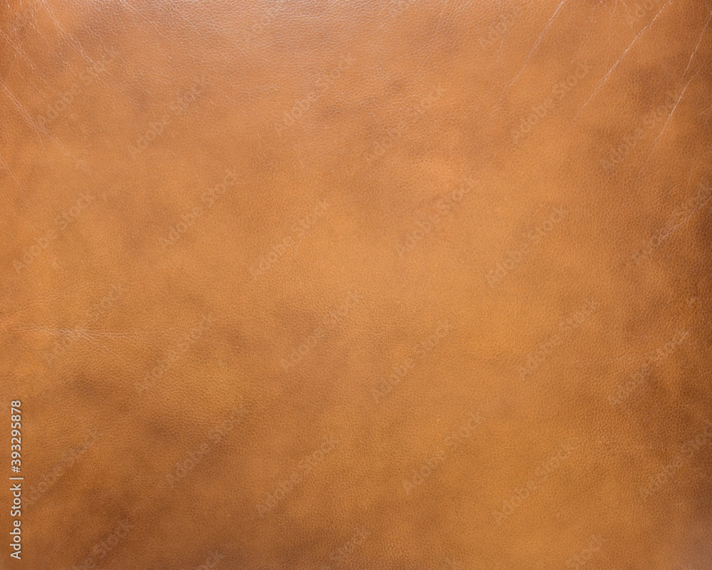 Naklejka premium skin texture for the background