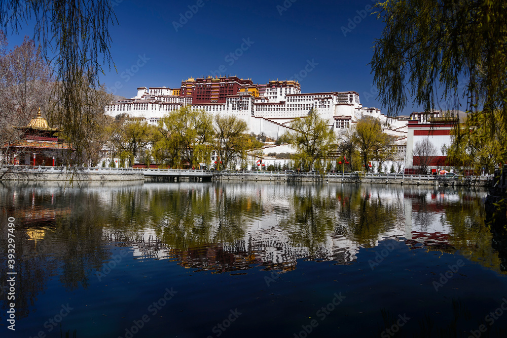 Fototapeta premium 中国西藏拉萨布达拉宫