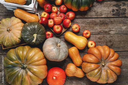 Colorful autumn background with pumpkins and apples