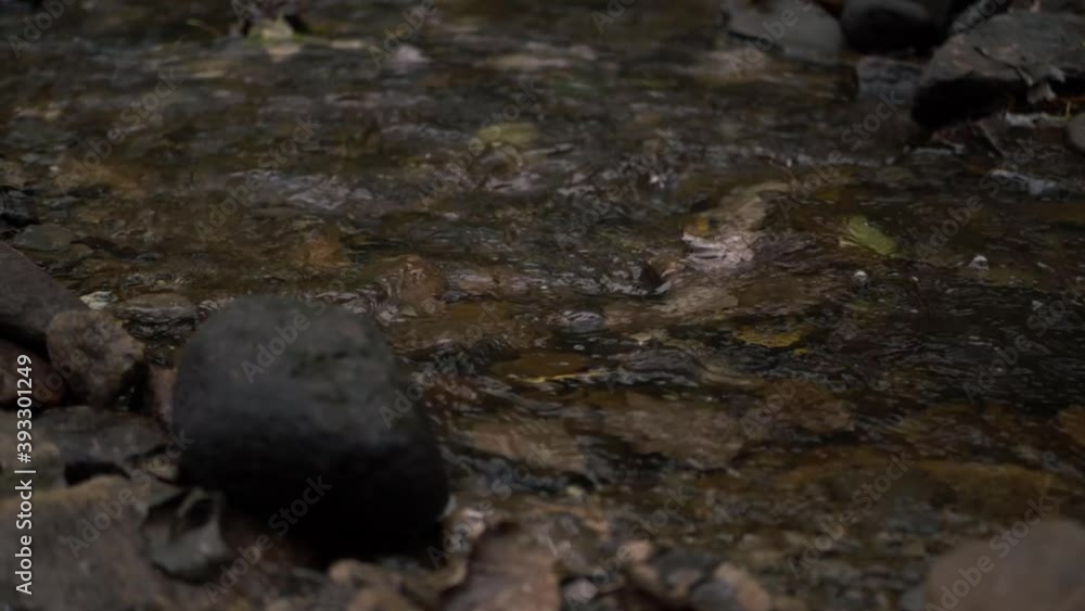 Natural shallow stream of water flowing over rocks and pebbles medium panning shot Natural shallow stream of water flowing over rocks and pebbles medium panning shot