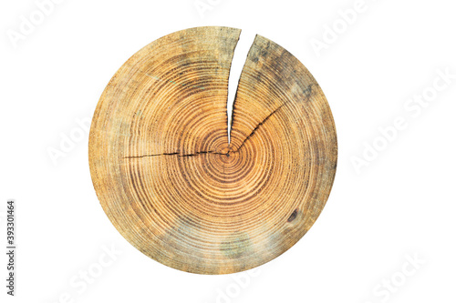 Section of a larch trunk with growth rings isolated on a white background.