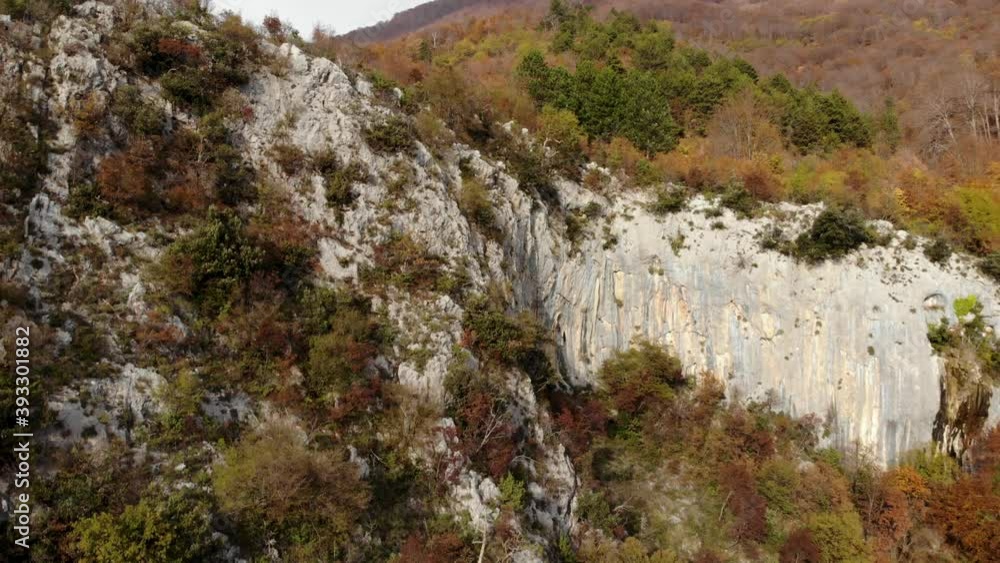 Bushes on slope of rocky mountain and colorful forest trees on the top in Autumn Bushes on slope of rocky mountain and colorful forest trees on the top in Autumn