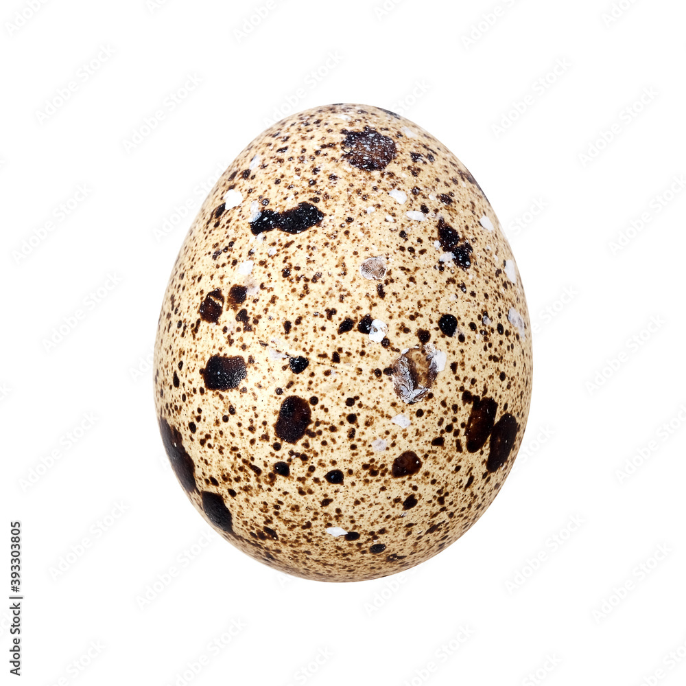 Obraz premium Variegated quail egg isolated on white background. Design element with clipping path