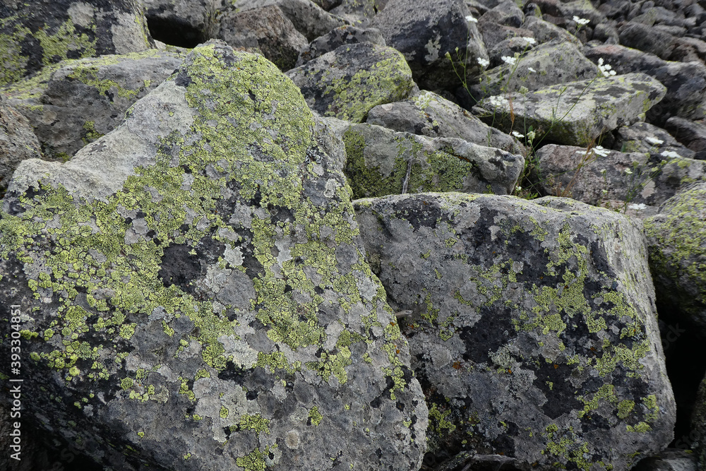 history is very old rock fragments, mossy rocks,