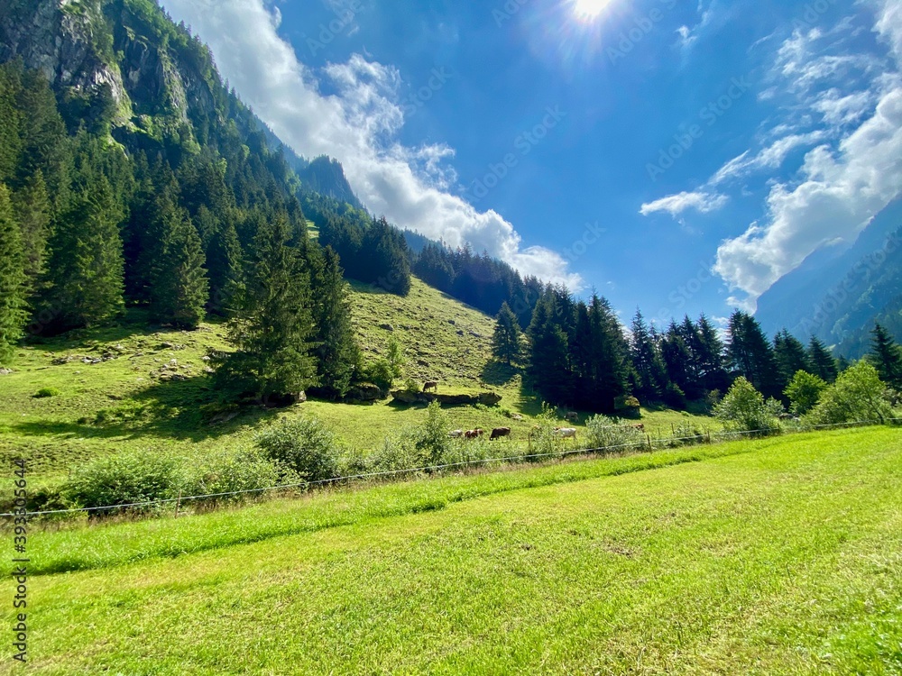 Countryside near Mayrhofen