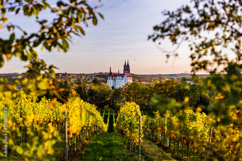 Meissen Albrechtsburg Castle from vineyard