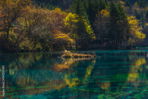 中国四川阿坝九寨沟秋色