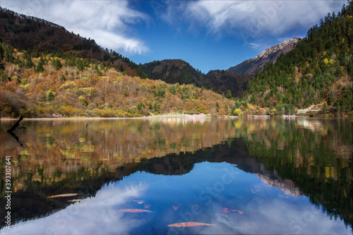 中国四川阿坝九寨沟秋色