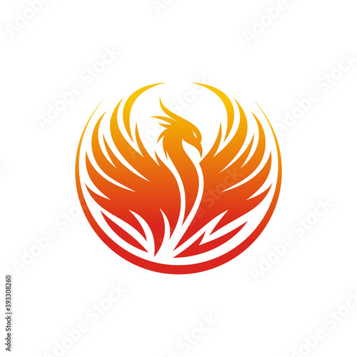 Modern Flaming Phoenix Logo designs template vector illustration photo
