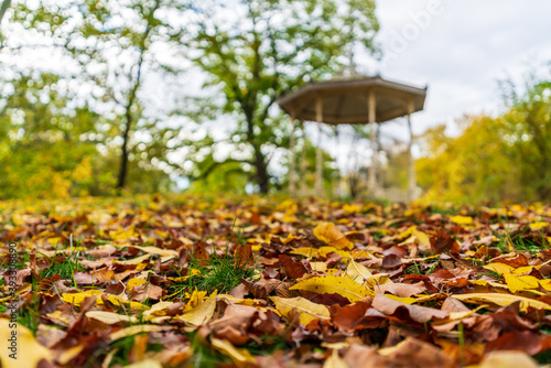 Pavilion at the Palmengarten in Leipzig and colorful autumn leaves