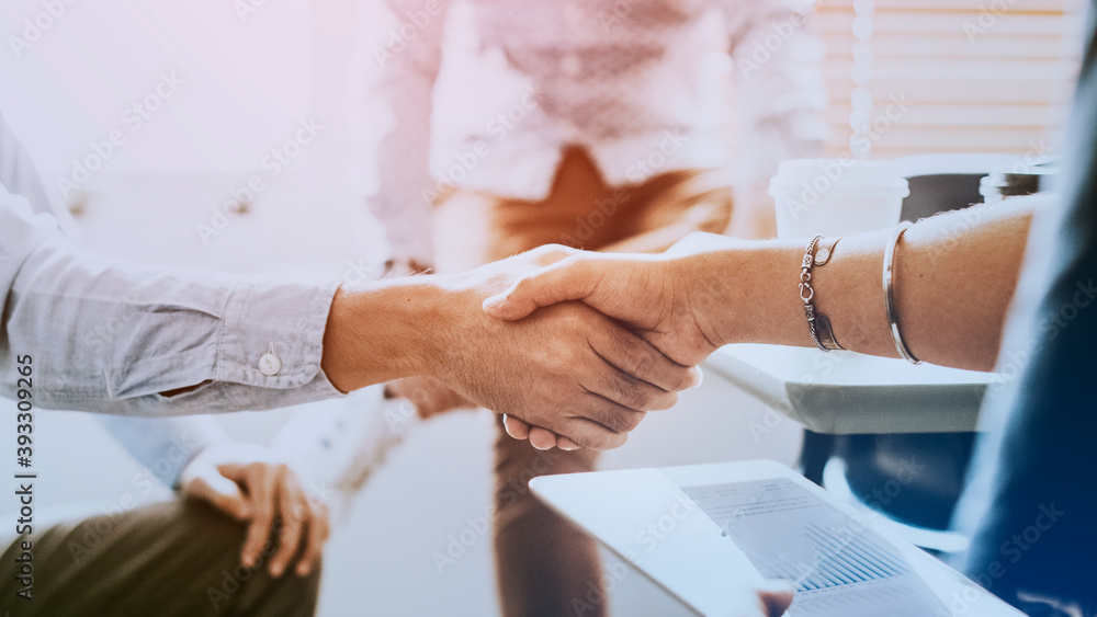 Professional businesspeople shaking hands in office