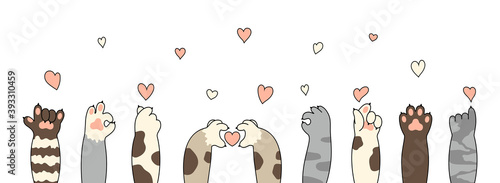 Photography Cat paws