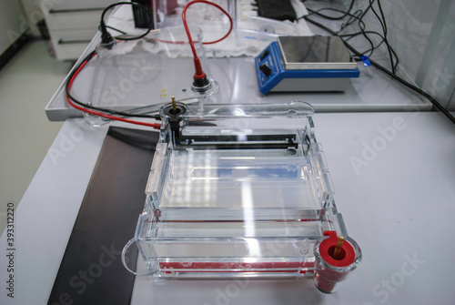 electrophoresis table