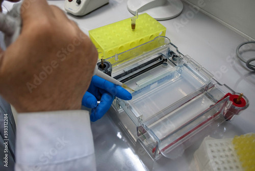 laboratory work