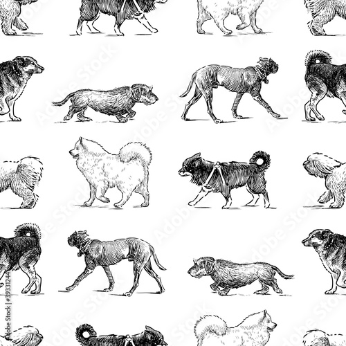 Seamless background of sketches various walking dogs
