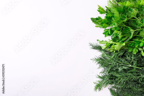 Fresh green parsley and fennel on white background. Top view  copy space