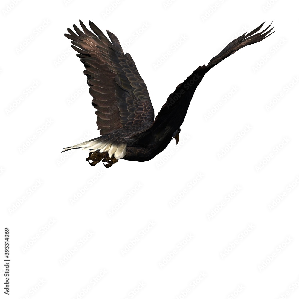 Fototapeta premium Wild animals - eagle - isolated on white background - 3D illustration