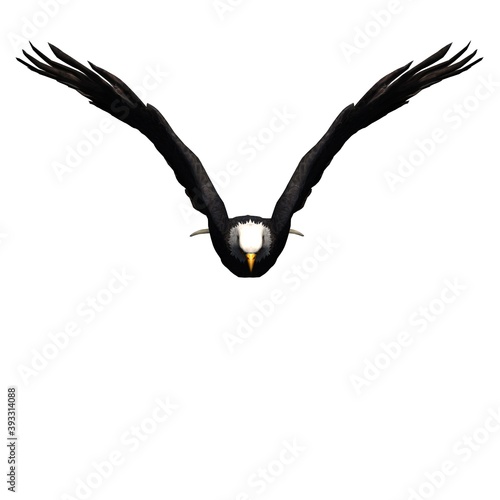 Wild animals - eagle - isolated on white background - 3D illustration