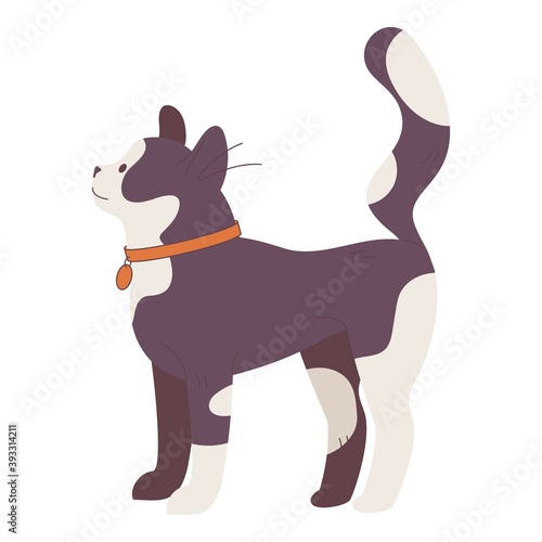 Little kitten in collar standing isolated on white. Cartoon cat character