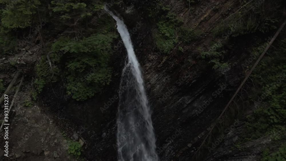 Small stream running between trees and into a waterfall inside lush forest covered with trees and moss Small stream running between trees and into a waterfall inside lush forest covered with trees and moss