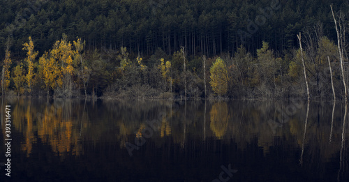 Trees reflected in the water of a lake. Irati forest in autumn