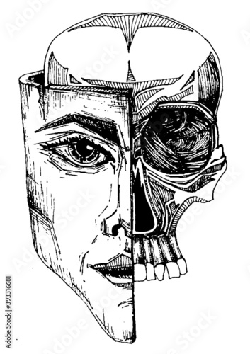 black and white sketch - skull covered with a mask	
