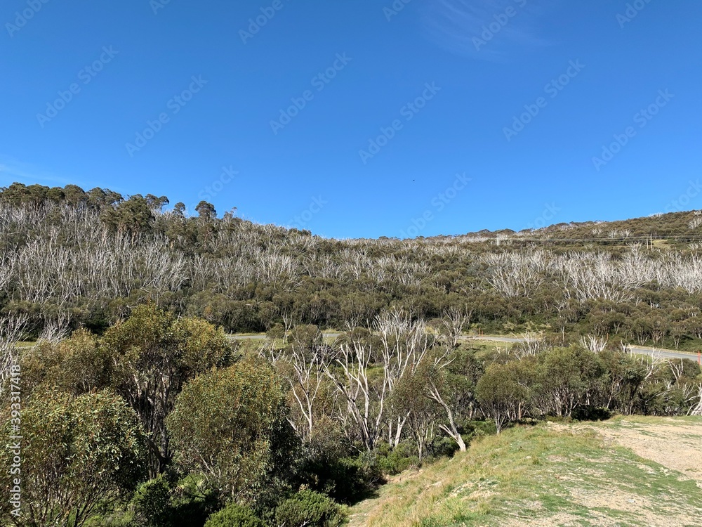 View along Guthega Road, taken March 21, 2020, near Guthega NSW, Australia