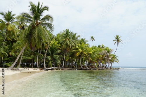 panama  san blas  isla ina  ina  tropical  paradise  summer  sea  caribbean  sky  clouds  nature  natural paradise  cristalline water  water  islands  isla tropical