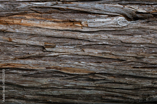 An old wood texture close up. the natural background