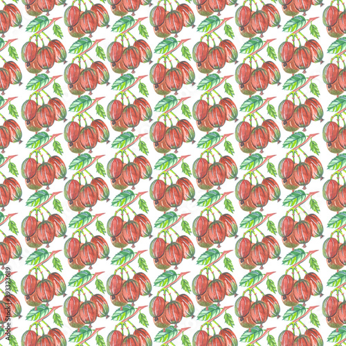 seamless pattern gooseberry berries watercolor