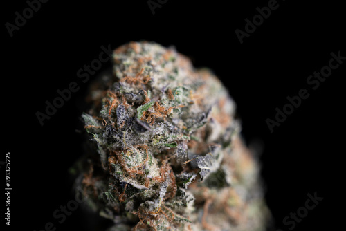 Принти на полотні Cannabis Bud Orange Cream strain extreme close up