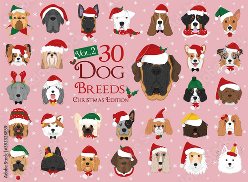 Set of 30 dog breeds with Christmas and winter themes. Set 2
