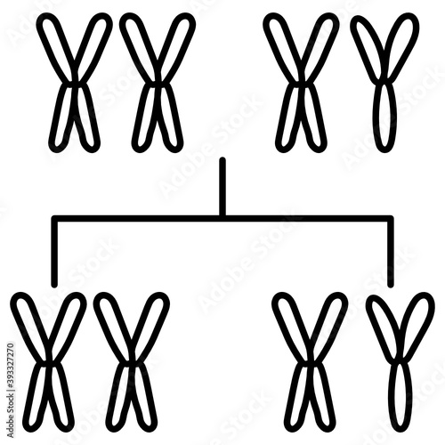 X and Y chromosome Concept, XY sex determination system Vector Icon Design, In Vitro Fertilization Symbol on White Background, Pregnancy and obstetrician Sign, 