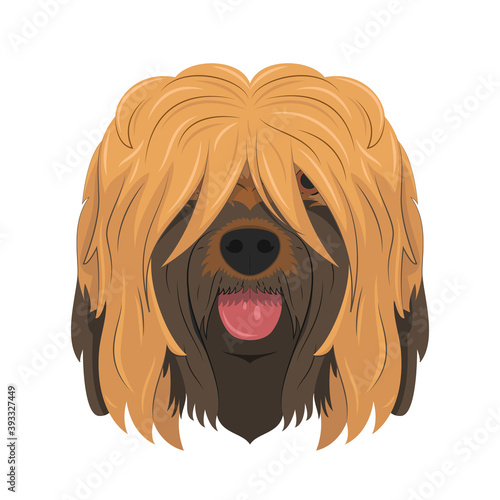 Briard or Brie Shepherd dog isolated on white background vector illustration